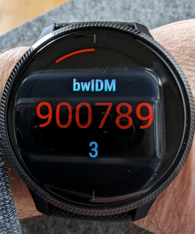 TOTP App on a Garmin Watch